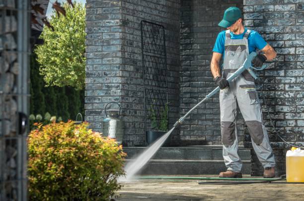 Best Fleet Vehicle Washing  in Naranja, FL